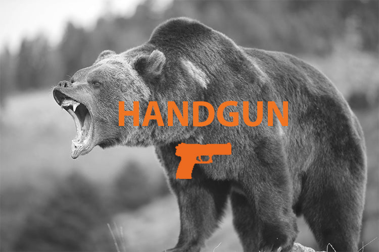 Center Fire Handgun